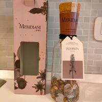 preparato meridiani Spirits