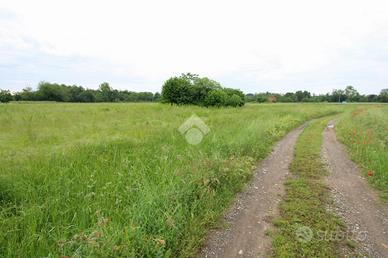 TER. AGRICOLO A CAPONAGO