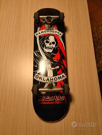Skateboard professionale