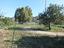 Immagine 7