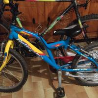 Bici bottecchia ruote 24