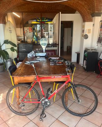 Mtb colnago vintage