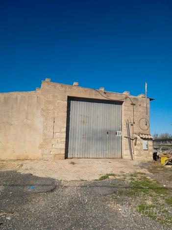 Azienda agricola in buone condizioni