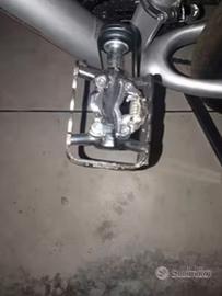 Bici MTB 26 Carbonio