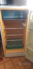frigo