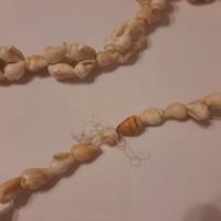 Collana di conchiglie