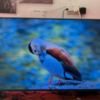 Samsung Smart TV 43’’ 4K UHD UE43TU7172UXXH