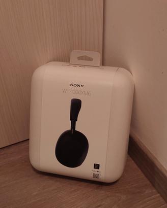 Sony WH-1000XM6