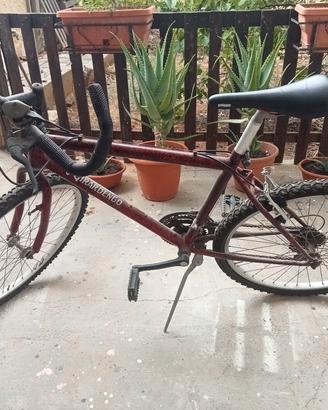 Bicicletta uomo  Girardengo  26 pollici 