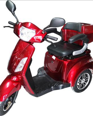 Motorino disabili