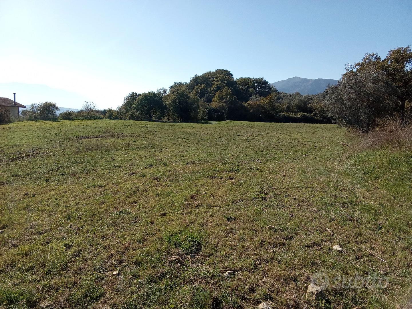 Casa di campagna con terreno - Altro