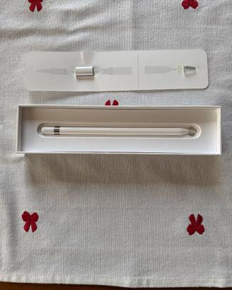 Apple Pencil per ipad