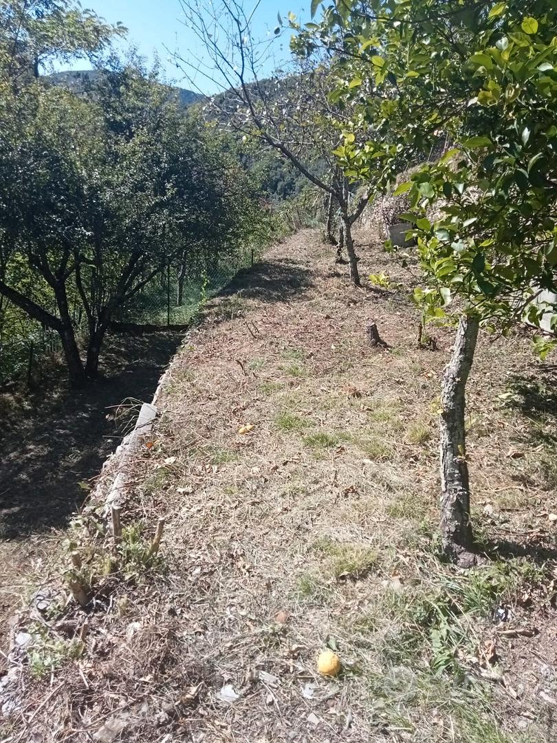 terreni su fasce - Vista 2