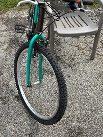 Montain bike