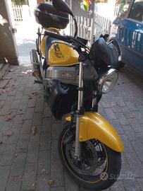 Honda x11 ileven 