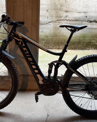 Giant stance e+
