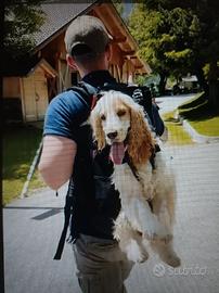 Zaino per cani Dog Carrier