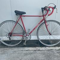 Biciclette uomo e donna