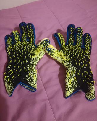 Guanti da portiere 