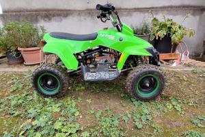 Mini quad