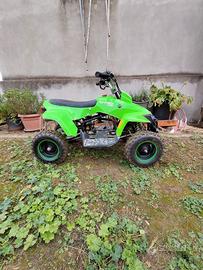 Mini quad