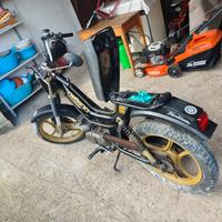 gringo 50 cc