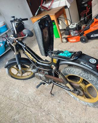 gringo 50 cc