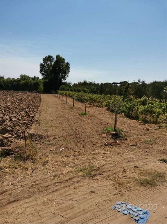 Terreno di 3450 m² a Sessa Aurunca - Vista 3