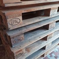 bancali 
