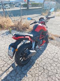 Benelli BN 251 - 2017