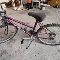 mountain bike donna 