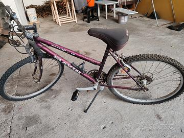 mountain bike donna 