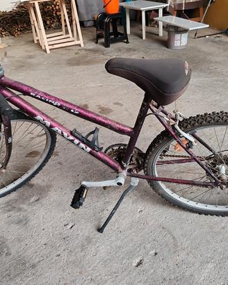 mountain bike donna 