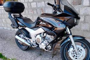 YAMAHA TDM 850
