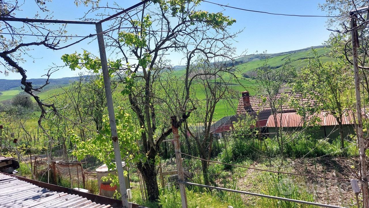 Agricolo a Asciano - Vista 5