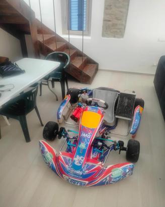 Go kart energy motore tm kz 10 c