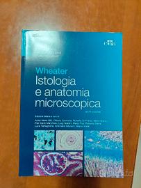 istologia e anatomia microscopica sesta edizione 