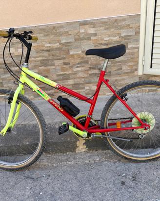 Bici MTB  26