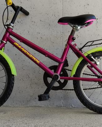 Bicicletta bambino bambina Bandiziol
