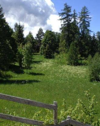 Immobile in asta di 2192 m² a Folgaria