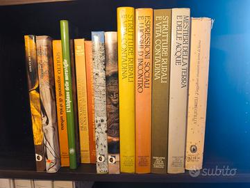 Collezione volumi d’arte formati illustrati