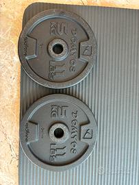 2 ghise Domyis da 5 kg l uno