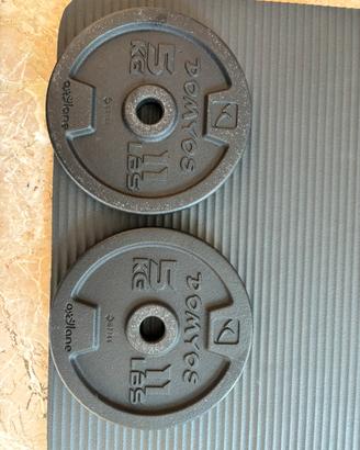 2 ghise Domyis da 5 kg l uno