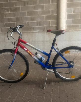 Mountain bike