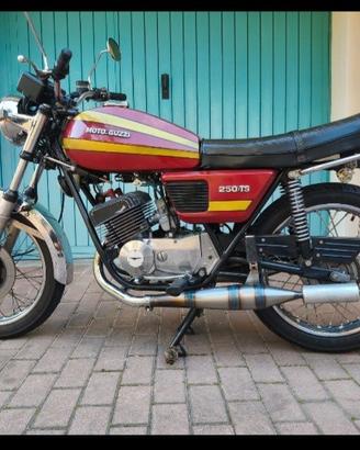 marmitte per guzzi/benelli 250 2c 