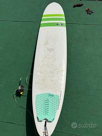 Tavola da surf, longboard