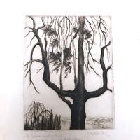 Dovati fusi almina, 2 INCISIONI