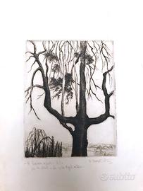 Dovati fusi almina, 2 INCISIONI