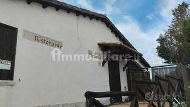  locale commerciale  ex ristorante Busith 