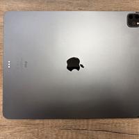 ipad 12.9 pro